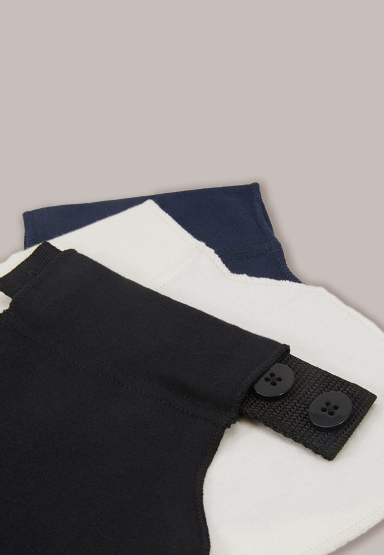 175-flexi-belt-2-slr