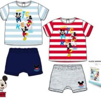 conjunto-michey